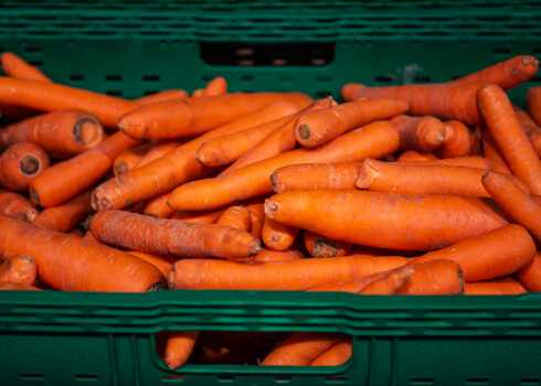 Carrot Storage