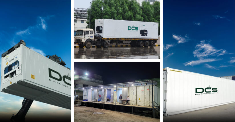 Best container rental services