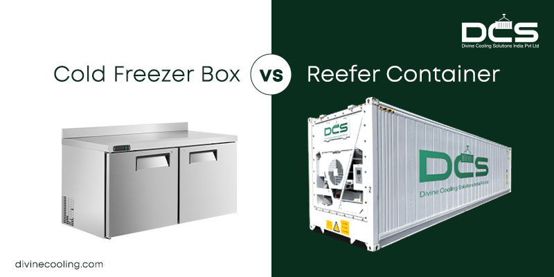 cold freezer and reefer container