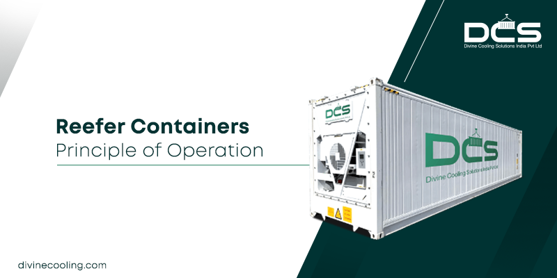 how reefer containers work