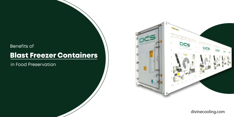 benefits of blast freezer containers