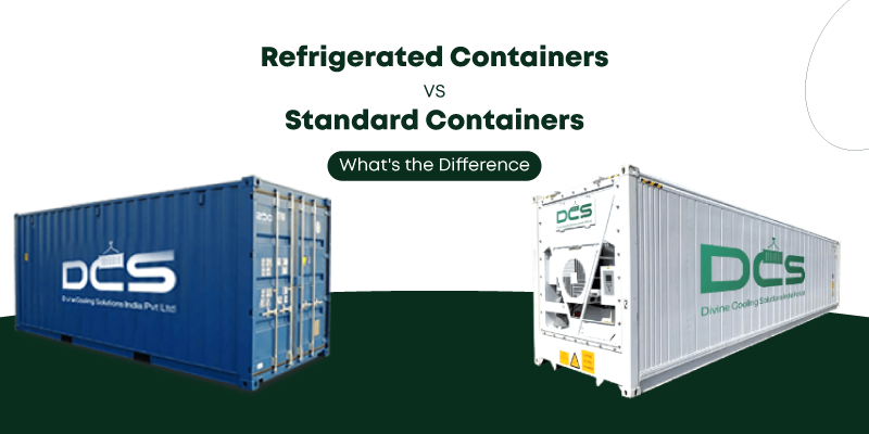 reefer vs standard containers