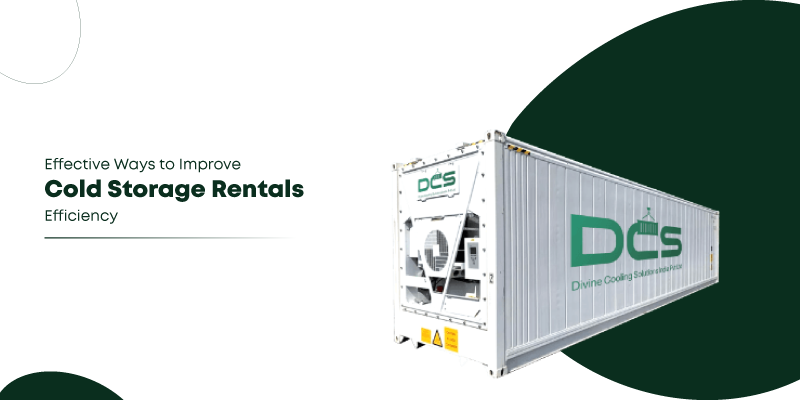 cold storage improves efficiency